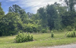 316 Thompson Hill Road, McLain, MS 39456