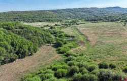 Road N, Rico, CO 81332