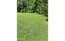 River Bank Rd, Pigeon Forge, TN 37863