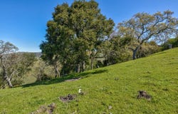 000 Bella Madeira, San Jose, CA 95127