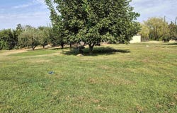 321 W Blvd S, Granger, WA 98935