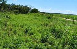 3255 CR 340, Lohn, TX 76852