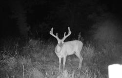 12071 SE Texas Rd, Kincaid, KS 66039