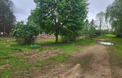 6239 N Caris Road, Vestaburg, MI 48891