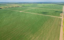 00 Bill Young Rd, Eudora, AR 71640