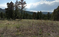 NHN Hoover Creek OSI-73 Road, Helmville, MT 59843