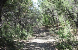 8 & 10 Roadrunner Road, Tijeras, NM 87059