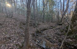 Ivy Log Drive, Blairsville, GA 30546
