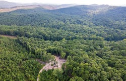 0 Harding Lane, Jessieville, AR 71949
