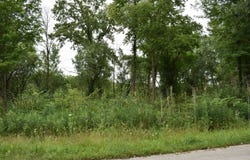 11665 Orchard Road, Willow Springs, IL 60480