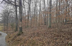 BARRETT ST, PALMYRA, VA 22963