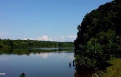 Engel Rd, Loudon, TN 37774