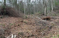 Lot 3d Coy Rhea Way, Sevierville, TN 37876