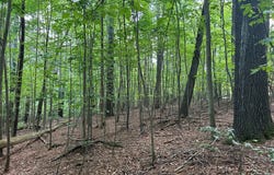 L 10&16 Josie Drive, Blairsville, GA 30512