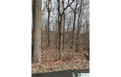 190 Williams Lane, Pocono Twp, PA 18355