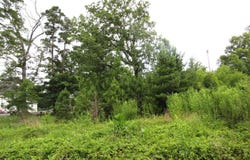 0 Lowesville Road, Piney River, VA 22964