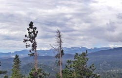 1645 Osage Trl, Red Feather Lakes, CO 80545
