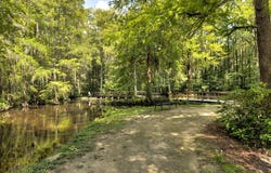 11 Bland Ave, Sumter, SC 29150
