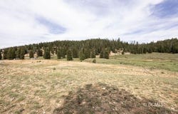540 N Grassy Trail, Duck Creek Village, UT 84762