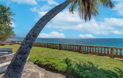 Bo BARRERO, RINCON, 00677