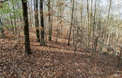 533 Marque Lane NE, Ranger, GA 30734