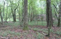 NE Hopewell Road, Brookhaven, MS 39601