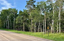 Tbd Holly Road, Park Rapids, MN 56470