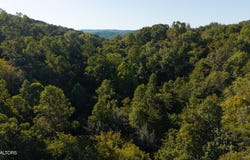 32.38 AC Panther Creek Rd, Sneedville, TN 37869