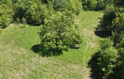 Humansville, MO 65674