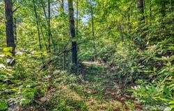 Climbing Road, Hendersonville, NC 28792