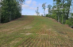 1  Ervin Hill Rd, Beaver, OH 45613