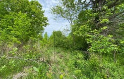 5323 N River State Rd 307, Geneva, OH 44041