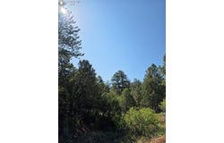 506 Kevin Drive, Cotopaxi, CO 81223
