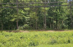 7737 HIGHWAY 75 lot: 1, PINSON, AL 35126