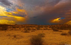 Bowman Trail, Joshua Tree, CA 92252