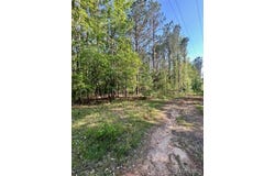 0 Sherling Lake Road, Greenville, AL 36037