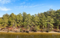 2226 Sailfish Road, Corolla, NC 27927