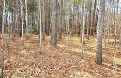 GRAVEL BRANCH Road, HURLOCK, MD 21643