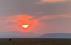 Road 215, Cheyenne, WY 82009