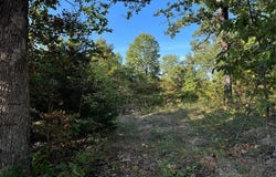 0 Lot 6b Lakeview Drive, Perryville, MO 63775
