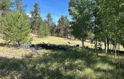 519 Hayhook Way, Hartsel, CO 80449