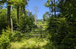 10279 Adirondack Trail, Malone, NY 12953