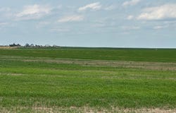 Cope, CO 80812