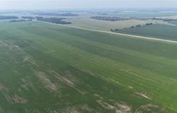 0000 County 61, Browerville, MN 56438