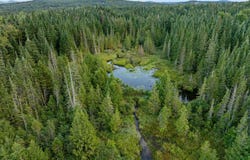 Wood Yard Crossing lot: 3, Pittsburg, NH 03592