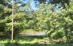 133 Woodruff 191, Augusta, AR 72006