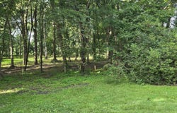Orchid Lane, OREGON, IL 61061