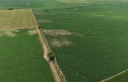 1 1111, Rock Rapids, IA 51246