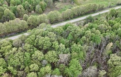 N Magruder Road, Coleman, MI 48618