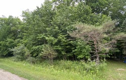 Mallard Drive, Alger, MI 48610